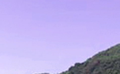 2023年唯美的午安问候语锦集62句