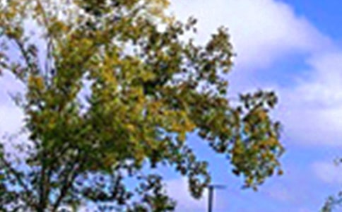 2024年美好的午安QQ问候语摘录57句