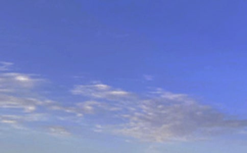 2024���簲�ʺ������55��