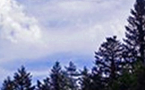 2023年治愈系午安问候语短信锦集90条