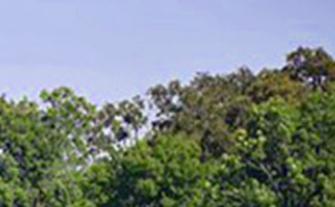 ������ܰ�簲���Դ�ȫ60��