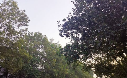 2025�����õ��簲QQ�ʺ���󼯺�91��