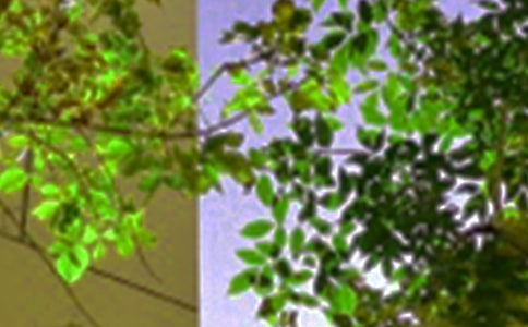 美好的午安QQ问候语合集36句