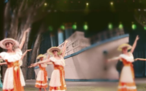 黑熊舞蹈家读后感精选15篇