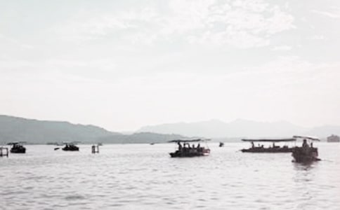 ������Сѧ����