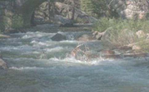 СϪ���ĸ��ѧ��˼