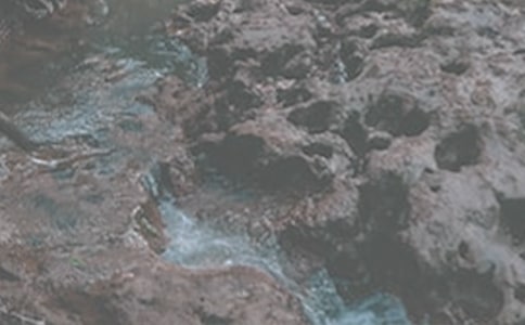 ����СϪ���ĸ衷�и�15ƪ