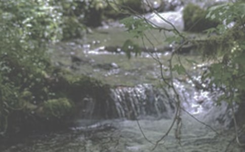 ��СϪ���ĸ衷�����10ƪ