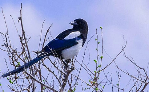 ϲȵ��ѧ��˼