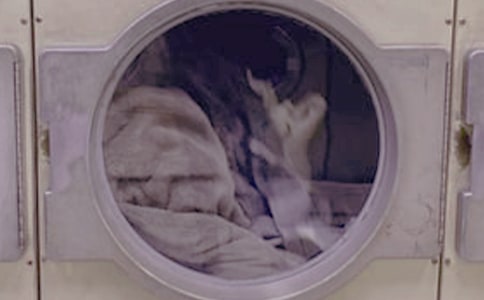 有关洗衣服日记范文九篇