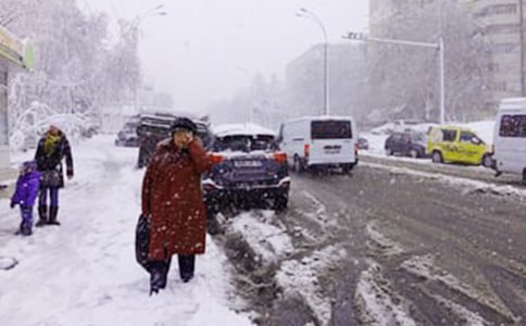 【精选】下雪了小学作文300字汇总八篇