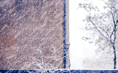 【精华】下雪了小学作文汇总9篇