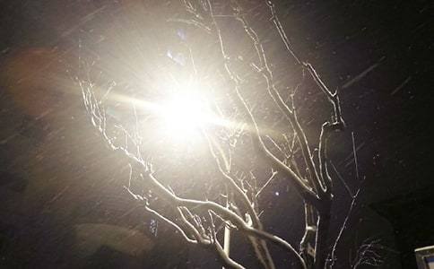 (荐)下雪了二年级作文