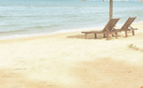 �ļ���Ѵ�����ܽ�