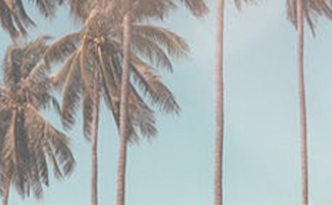 �ļ�����¹����ƻ�