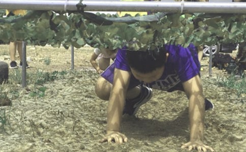 ��ʵ�á�����Ӫ�ռ�3ƪ