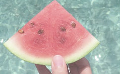 夏日历险读后感