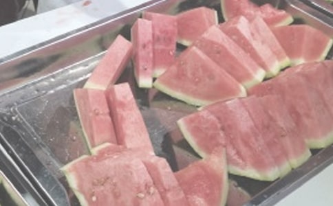 《夏日历险》读后感