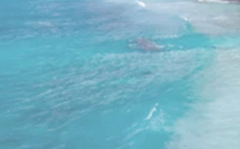 �������ն����15ƪ