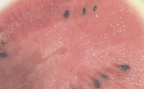 《夏日的邀请函》读后感