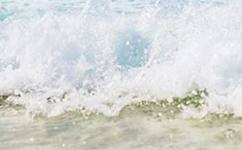 ʵ�õ������Сѧ����9ƪ