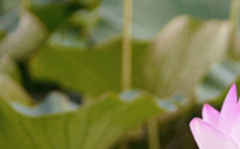 《夏至未至》读后感