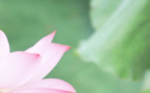 夏至问候语集合39条