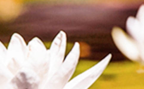 ��д�����ľ������