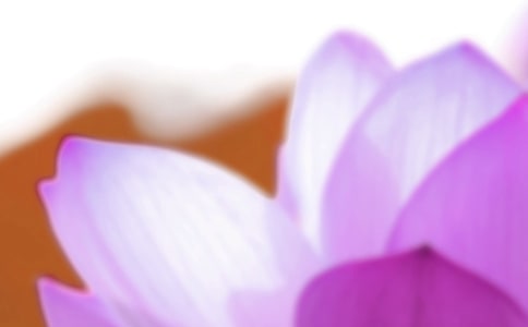 2023�������ʺ���25��