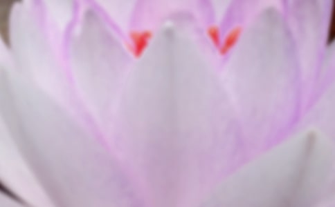 夏至问候语47句