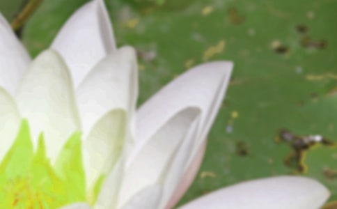 夏至问候语集合35句