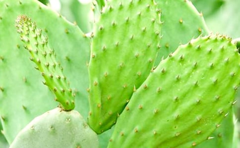 �ҵ�ֲ���������������꼶����