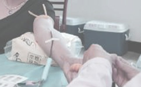 �޳���Ѫ������ģ��