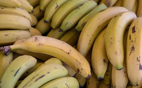 ���ڶ��꼶�㽶�����Ļ��8ƪ