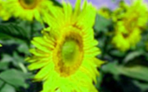 ��ѡ���տ�Сѧ������ƪ