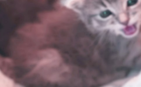 �Ҽҵ�Сè���꼶����