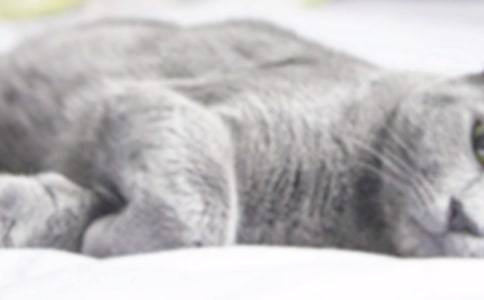 СèСѧ���Ľ�����ƪ