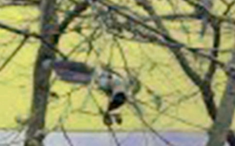 С��С���ѧ��˼