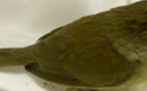 ��С���ѧ��˼(15ƪ)