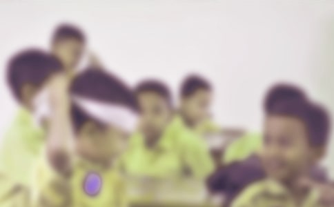 ��������������Сѧ��������