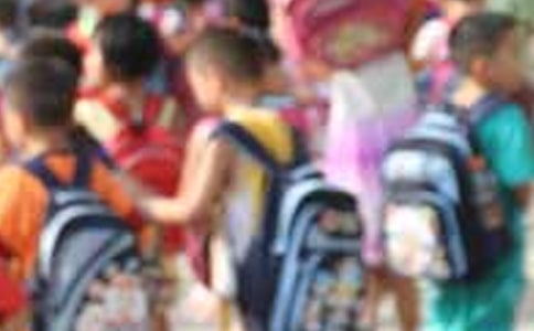 ������Сѧ�������ľ���15ƪ