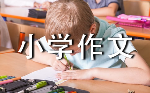 有关拍卖小学作文汇编七篇