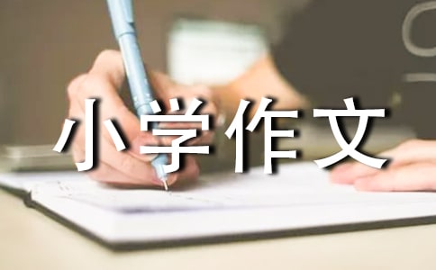 关于小学作文合集六篇