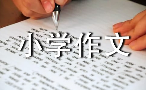 小学作文400字(精品8篇)