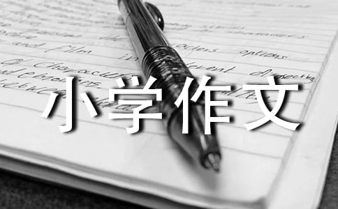实用的拍卖小学作文合集8篇
