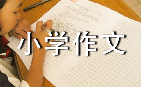 关于团圆小学作文400字十篇