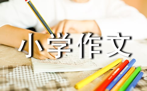 【必备】寒假趣事小学作文300字四篇