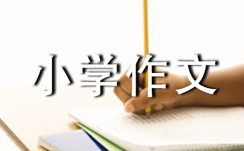 精选团圆小学作文汇编五篇