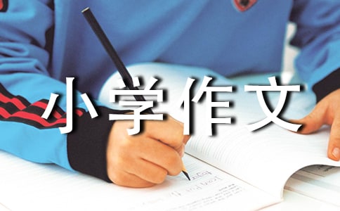 我们小学作文(实用6篇)