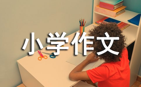 有关拍卖小学作文汇总五篇